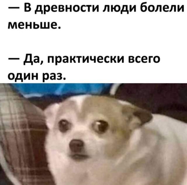 Смешные картинки - 28.04.2025 Смешные картинки - 28.04.2025