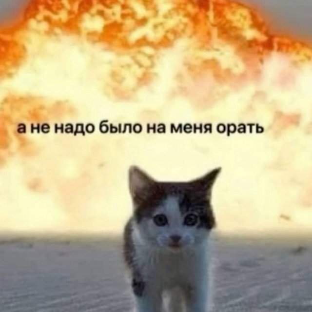 Смешные картинки - 28.04.2025 Смешные картинки - 28.04.2025