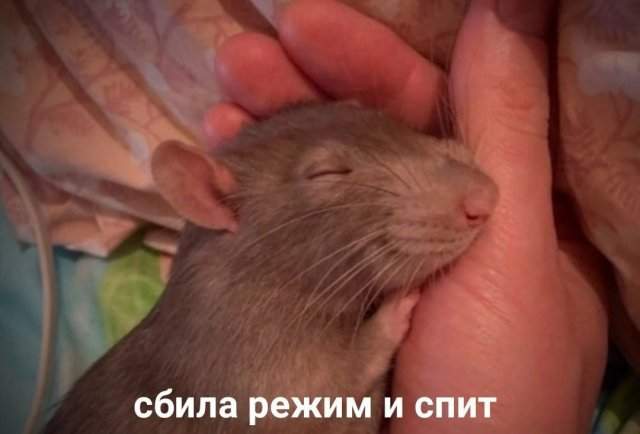 Смешные картинки - 28.04.2025 Смешные картинки - 28.04.2025