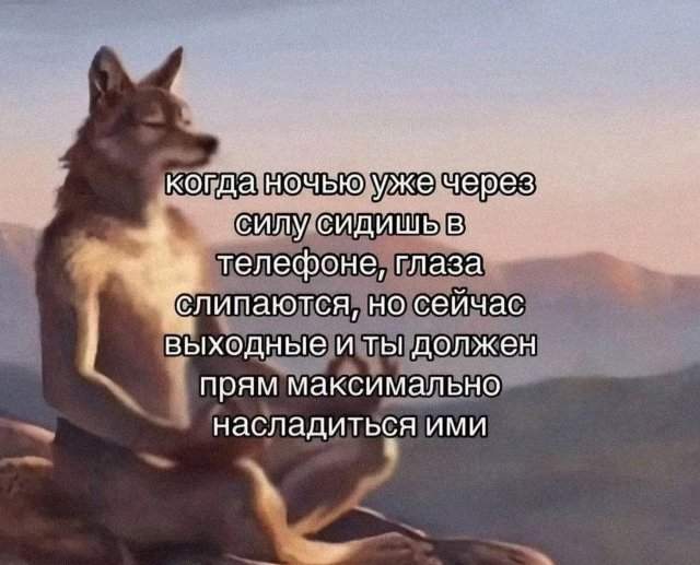 Подборка картинок. Вечерний выпуск - 28.04.2025
