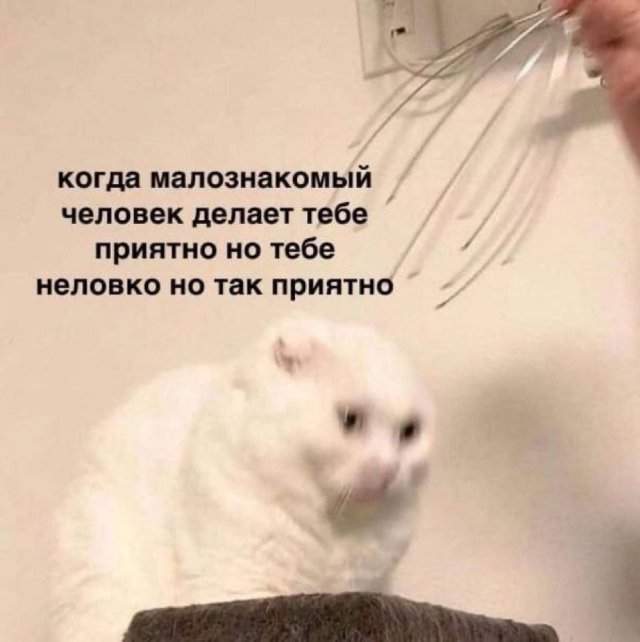 Лучшие шутки и мемы из Сети - 28.04.2025 Лучшие шутки и мемы из Сети - 28.04.2025