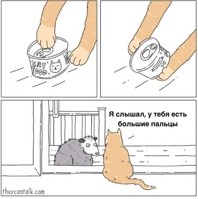 Смешные картинки - 29.04.2025 Смешные картинки - 29.04.2025