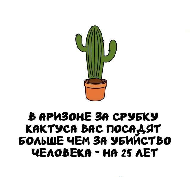 Интересные факты на все случаи жизни Интересные факты на все случаи жизни