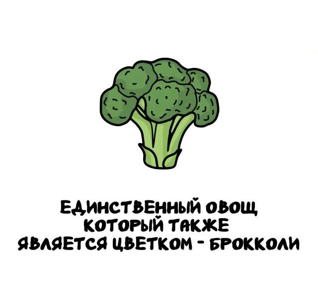 Интересные факты на все случаи жизни Интересные факты на все случаи жизни