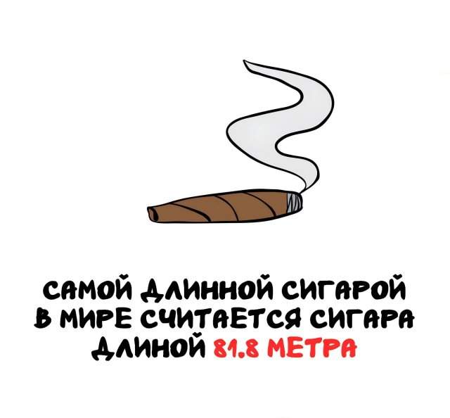 Интересные факты на все случаи жизни Интересные факты на все случаи жизни