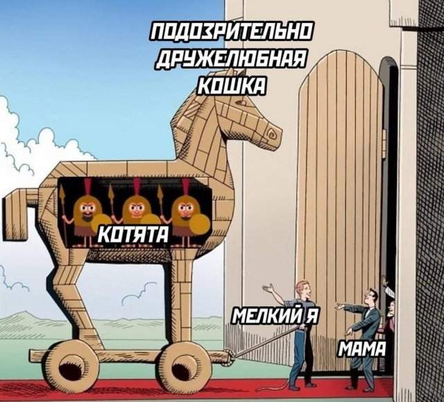 Смешные мемы - 29.04.2025