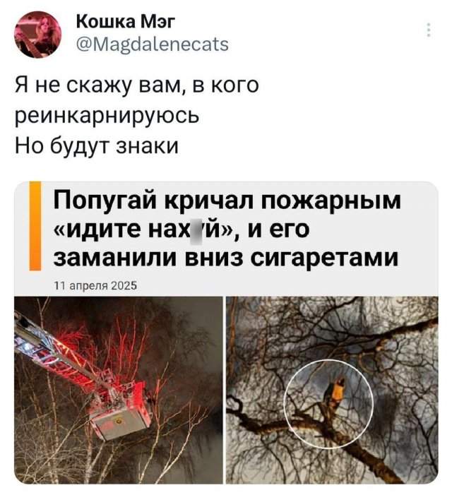 Подборка забавных твитов обо всем Подборка забавных твитов обо всем