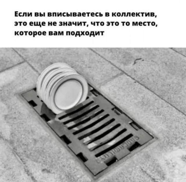 Лучшие картинки и мемы из Сети - 29.04.2025 Лучшие картинки и мемы из Сети - 29.04.2025