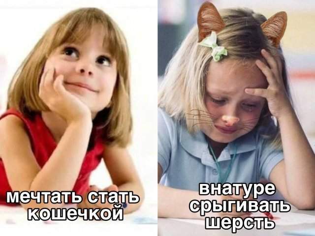 Лучшие картинки и мемы из Сети - 29.04.2025 Лучшие картинки и мемы из Сети - 29.04.2025