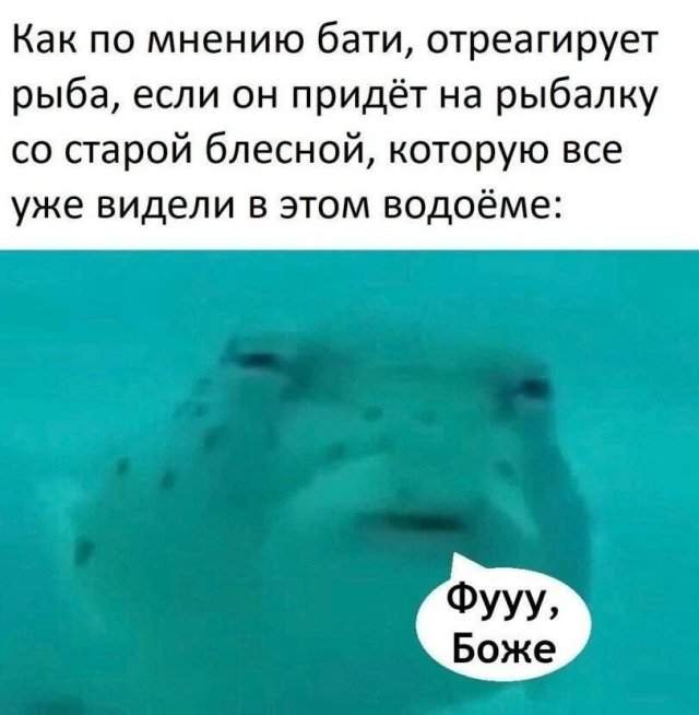 Лучшие картинки и мемы из Сети - 29.04.2025 Лучшие картинки и мемы из Сети - 29.04.2025
