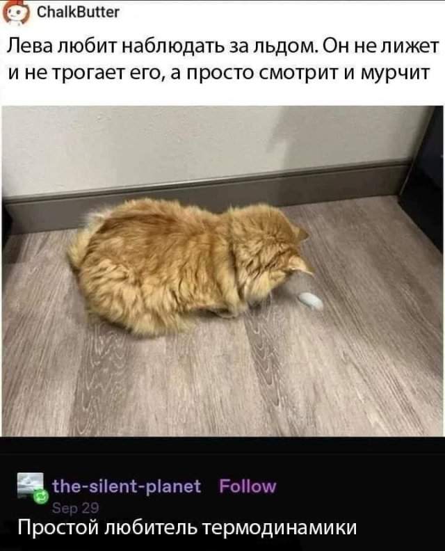 Лучшие картинки и мемы из Сети - 29.04.2025 Лучшие картинки и мемы из Сети - 29.04.2025