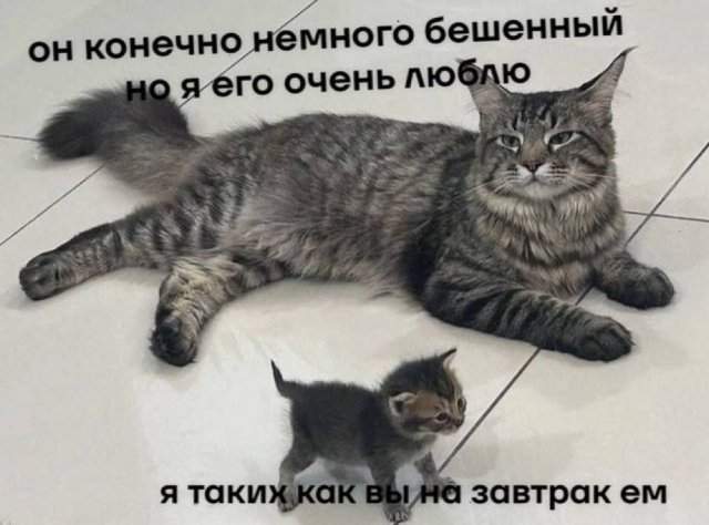 Смешные картинки - 30.04.2025 Смешные картинки - 30.04.2025