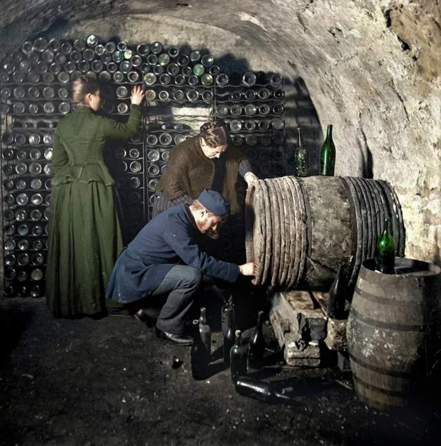 В винном подвале. Франция, 1890 год. В винном подвале. Франция, 1890 год.