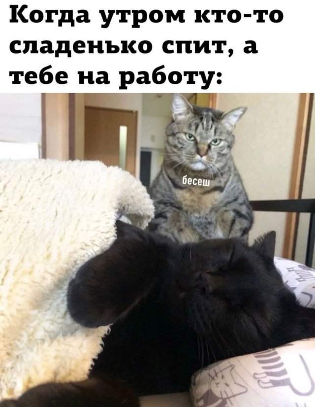 Смешные мемы - 30.04.2025 Смешные мемы - 30.04.2025