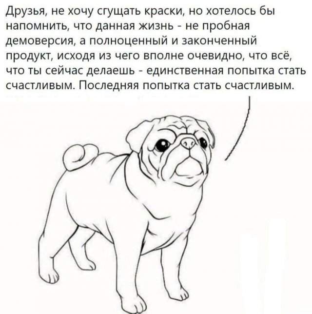 Смешные мемы - 30.04.2025 Смешные мемы - 30.04.2025