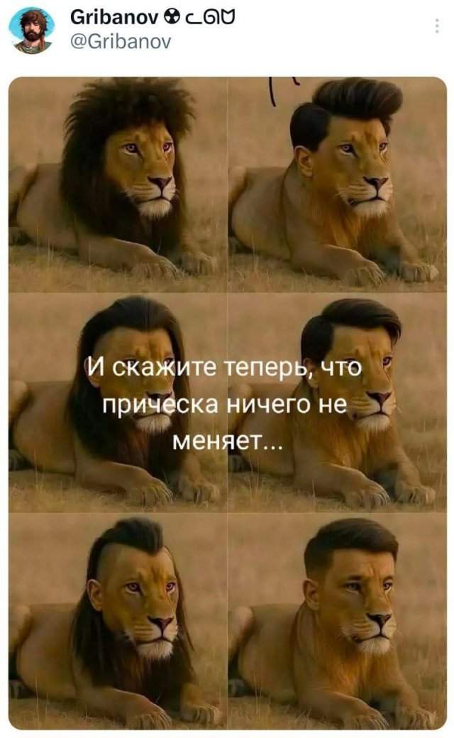 Подборка забавных твитов обо всем Подборка забавных твитов обо всем