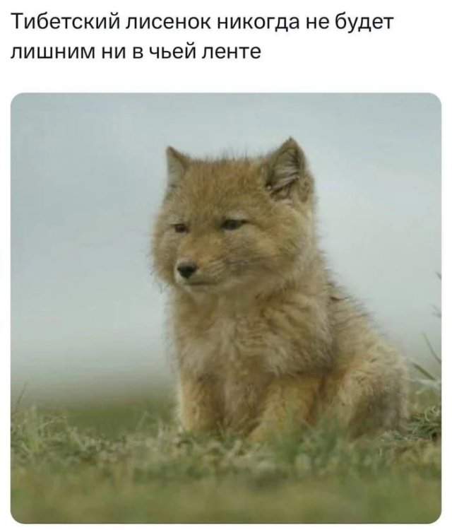 Лучшие шутки и мемы из Сети - 30.04.2025 Лучшие шутки и мемы из Сети - 30.04.2025