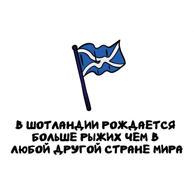 Интересные факты на все случаи жизни Интересные факты на все случаи жизни