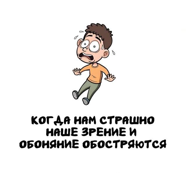 Интересные факты на все случаи жизни Интересные факты на все случаи жизни