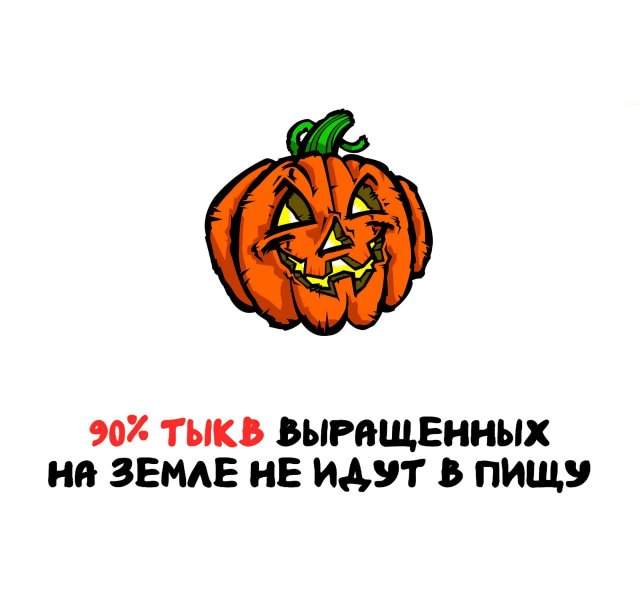 Интересные факты на все случаи жизни Интересные факты на все случаи жизни