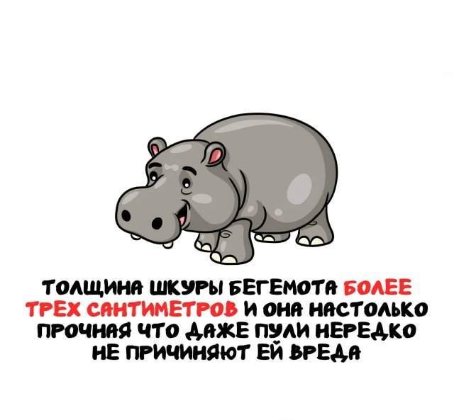 Интересные факты на все случаи жизни Интересные факты на все случаи жизни
