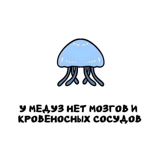 Интересные факты на все случаи жизни Интересные факты на все случаи жизни
