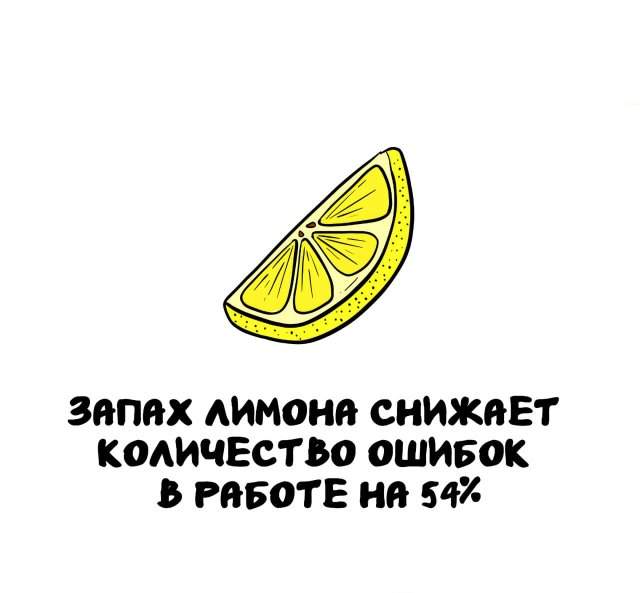 Интересные факты на все случаи жизни Интересные факты на все случаи жизни