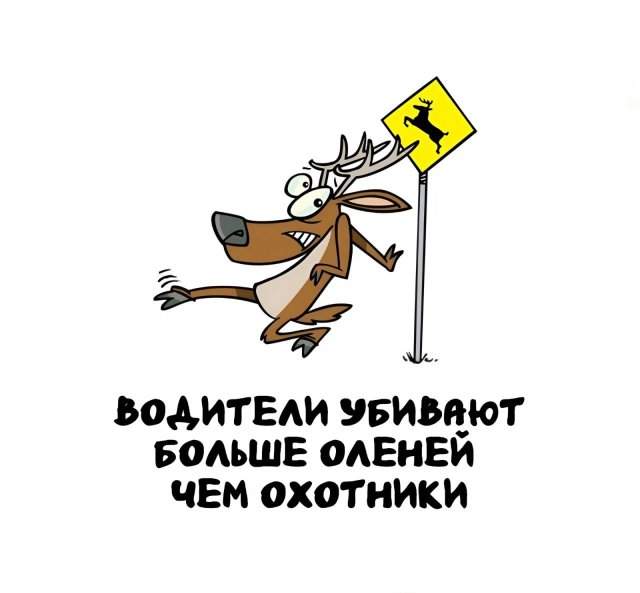 Интересные факты на все случаи жизни Интересные факты на все случаи жизни
