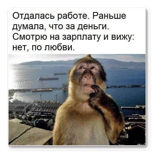 Смешные мемы - 01.05.2025 Смешные мемы - 01.05.2025