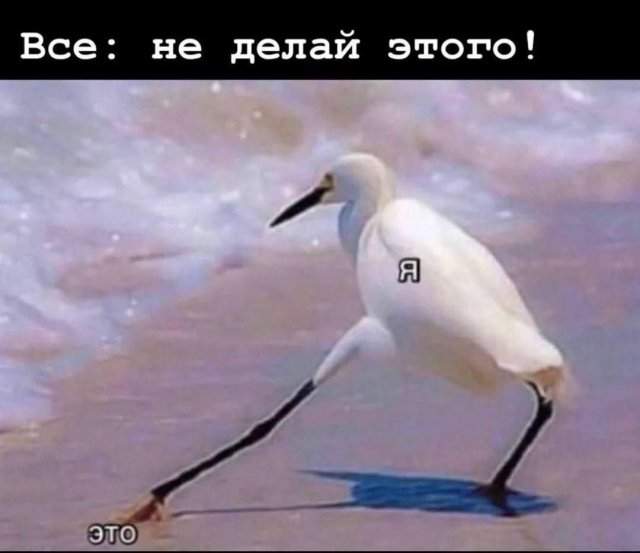 Смешные картинки - 01.05.2025 Смешные картинки - 01.05.2025