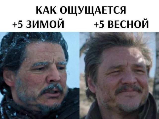 Смешные картинки - 01.05.2025 Смешные картинки - 01.05.2025