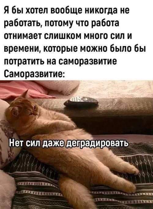 Смешные картинки - 01.05.2025 Смешные картинки - 01.05.2025