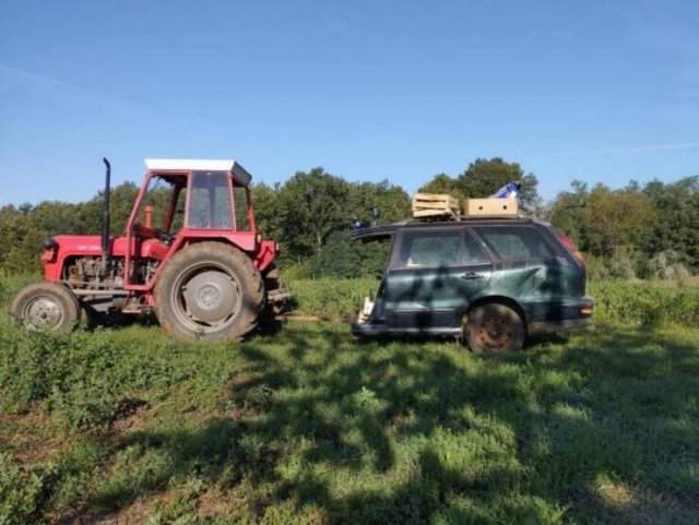 Подборка картинок. Вечерний выпуск - 01.05.2025 Подборка картинок. Вечерний выпуск - 01.05.2025