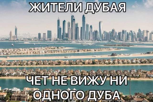 Лучшие шутки и мемы из Сети - 01.05.2025 Лучшие шутки и мемы из Сети - 01.05.2025