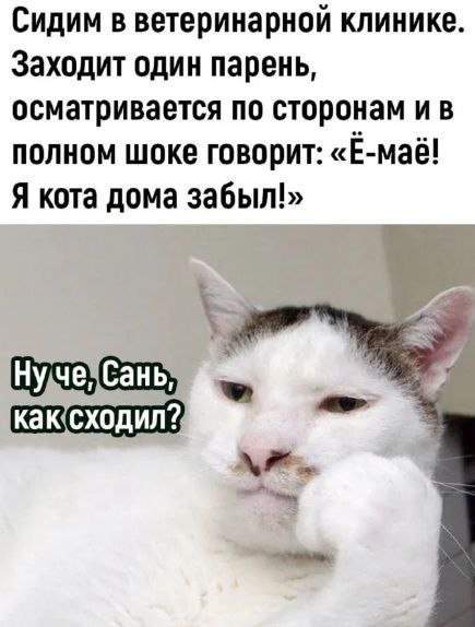 Лучшие шутки и мемы из Сети - 01.05.2025 Лучшие шутки и мемы из Сети - 01.05.2025