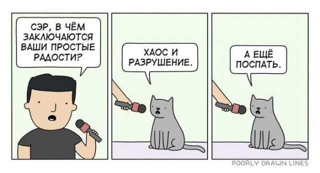 Лучшие шутки и мемы из Сети - 01.05.2025 Лучшие шутки и мемы из Сети - 01.05.2025