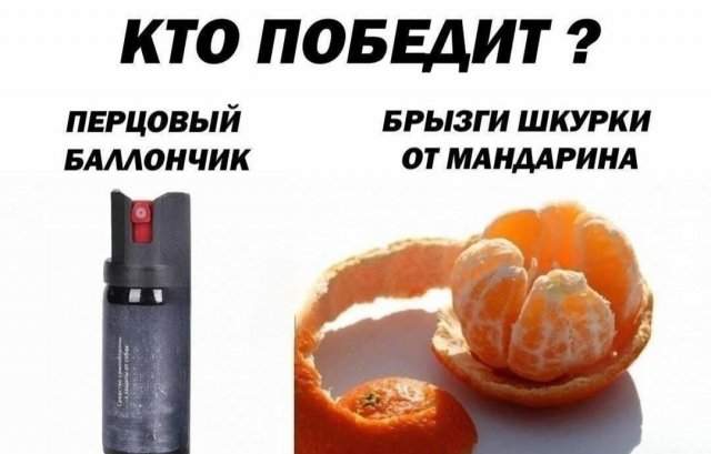 Лучшие шутки и мемы из Сети - 01.05.2025 Лучшие шутки и мемы из Сети - 01.05.2025