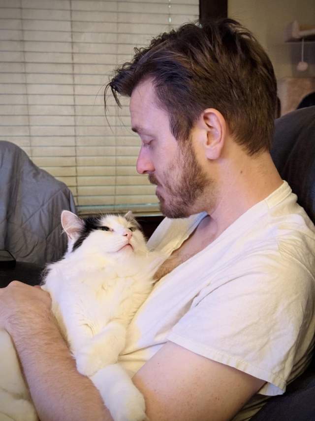 Кошки и собаки, которые в своих хозяевах Кошки и собаки, которые в своих хозяевах