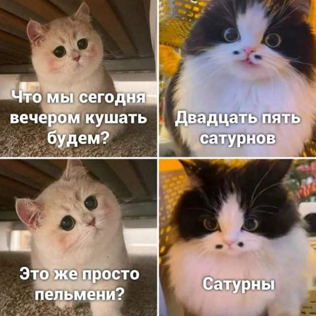 Смешные мемы - 06.05.2025 Смешные мемы - 06.05.2025