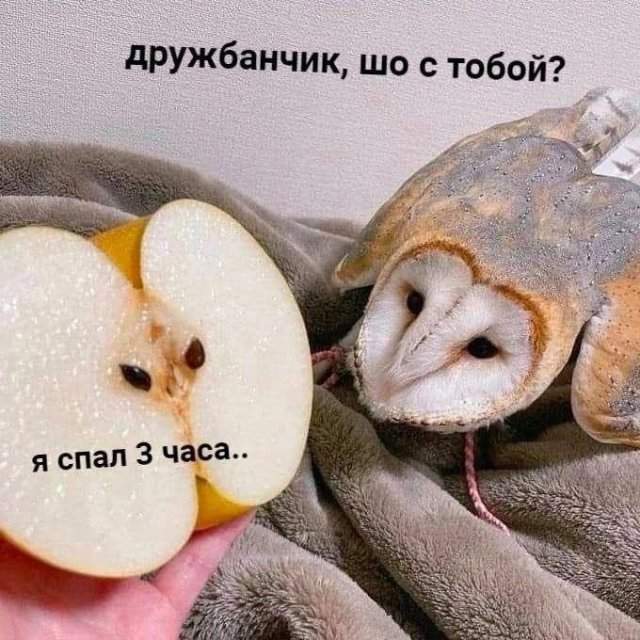 Смешные мемы - 06.05.2025 Смешные мемы - 06.05.2025