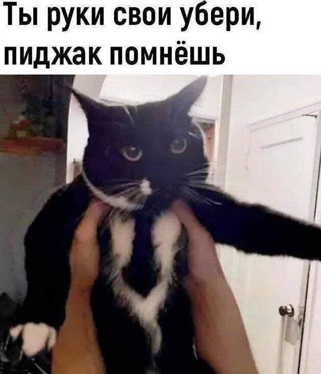 Смешные мемы - 06.05.2025 Смешные мемы - 06.05.2025