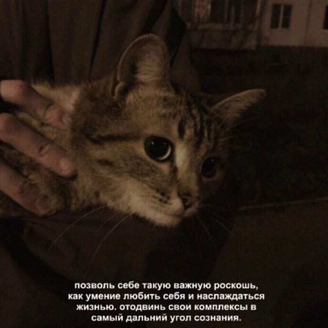 Смешные мемы - 06.05.2025 Смешные мемы - 06.05.2025