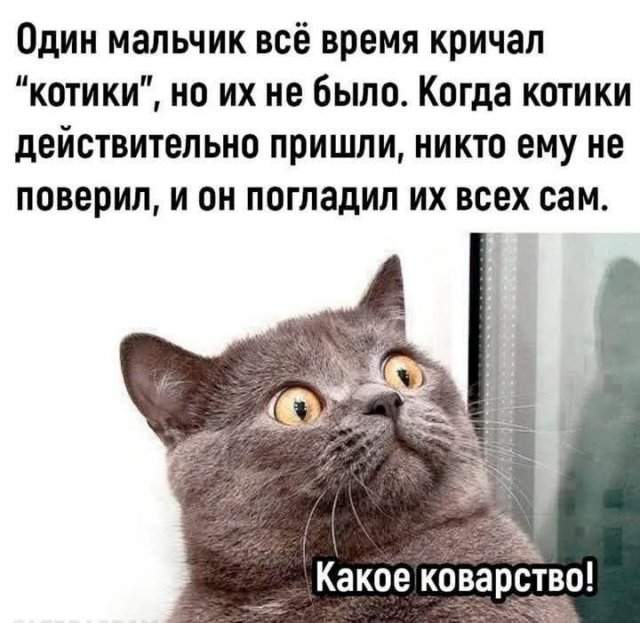 Смешные мемы - 06.05.2025 Смешные мемы - 06.05.2025