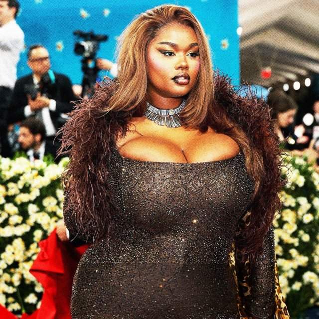 Самые горячие наряды с Met Gala 2025 Самые горячие наряды с Met Gala 2025