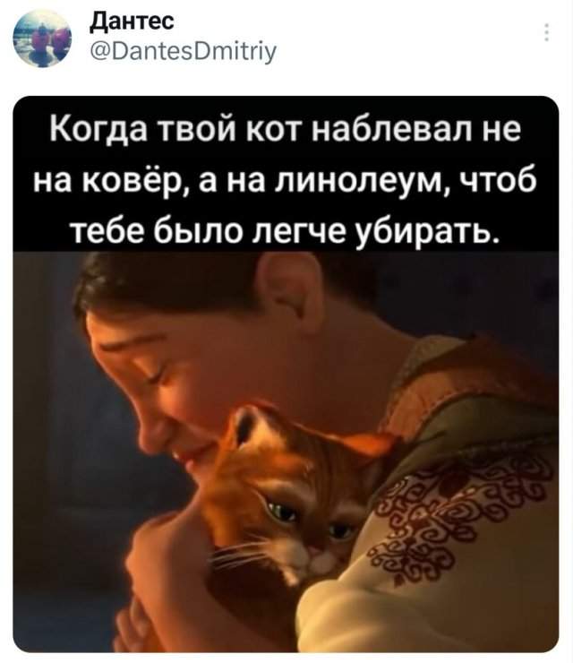 Подборка забавных твитов обо всем Подборка забавных твитов обо всем