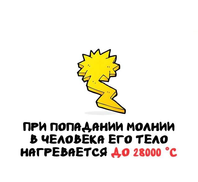 Интересные факты на все случаи жизни Интересные факты на все случаи жизни