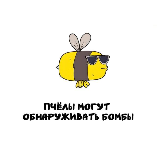 Интересные факты на все случаи жизни Интересные факты на все случаи жизни