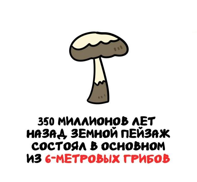 Интересные факты на все случаи жизни Интересные факты на все случаи жизни