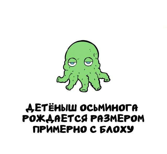 Интересные факты на все случаи жизни Интересные факты на все случаи жизни