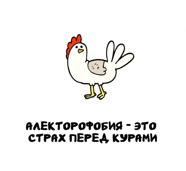 Интересные факты на все случаи жизни Интересные факты на все случаи жизни